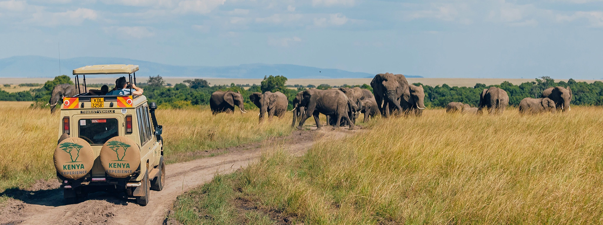 Africa
