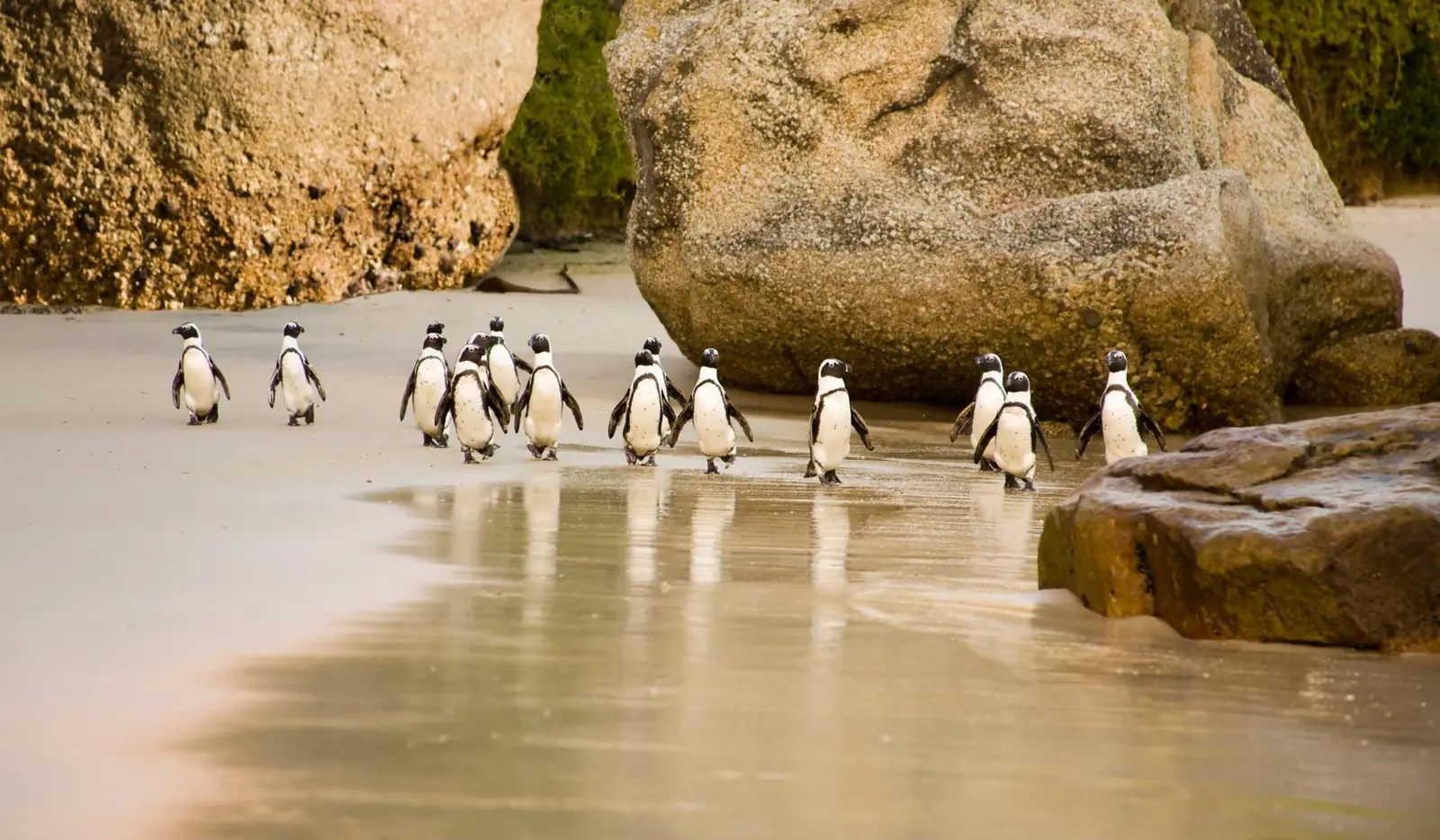 Nature, Nectar & Untamed Adventures