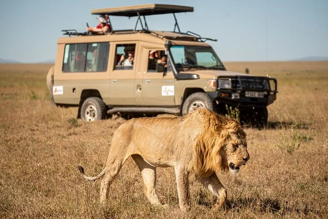 Luxury Safari, Wine & Waterfalls Tour – 10 Nights & 11 Days