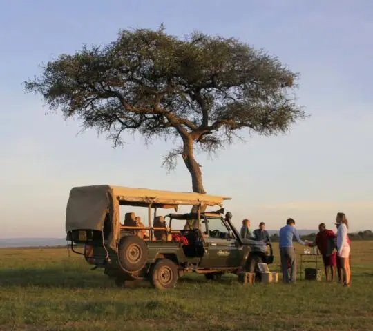 Luxury Safari, Wine & Waterfalls Tour – 10 Nights & 11 Days