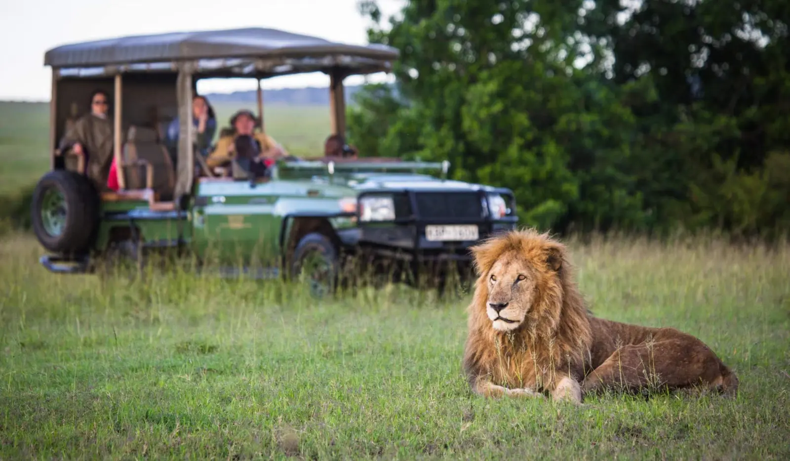 Luxury Safari, Wine & Waterfalls Tour – 10 Nights & 11 Days