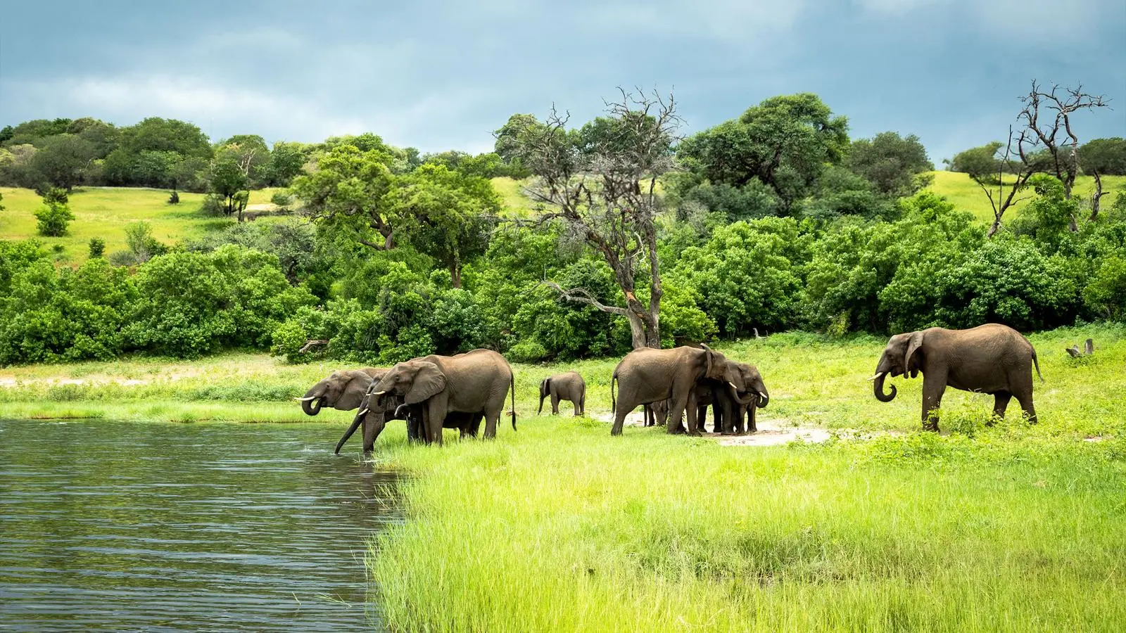 7-Day Affordable Botswana & Victoria Falls Safari (6 Nights & 7 Days)