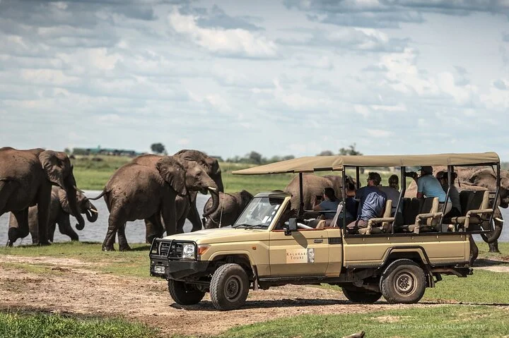 7-Day Affordable Botswana & Victoria Falls Safari (6 Nights & 7 Days)