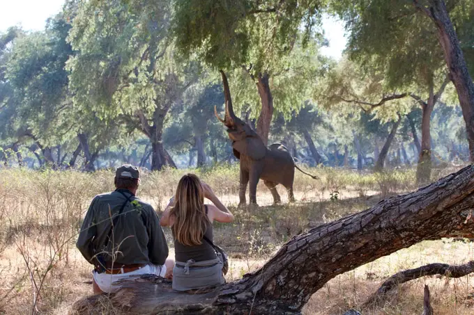 Zambia Tour Package from India
