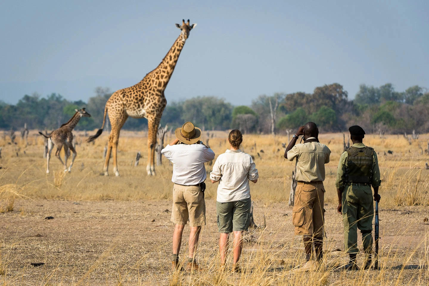 Zambia Tour Package from India