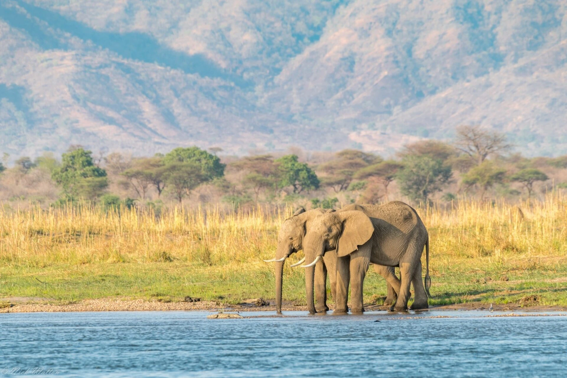 Zimbabwe