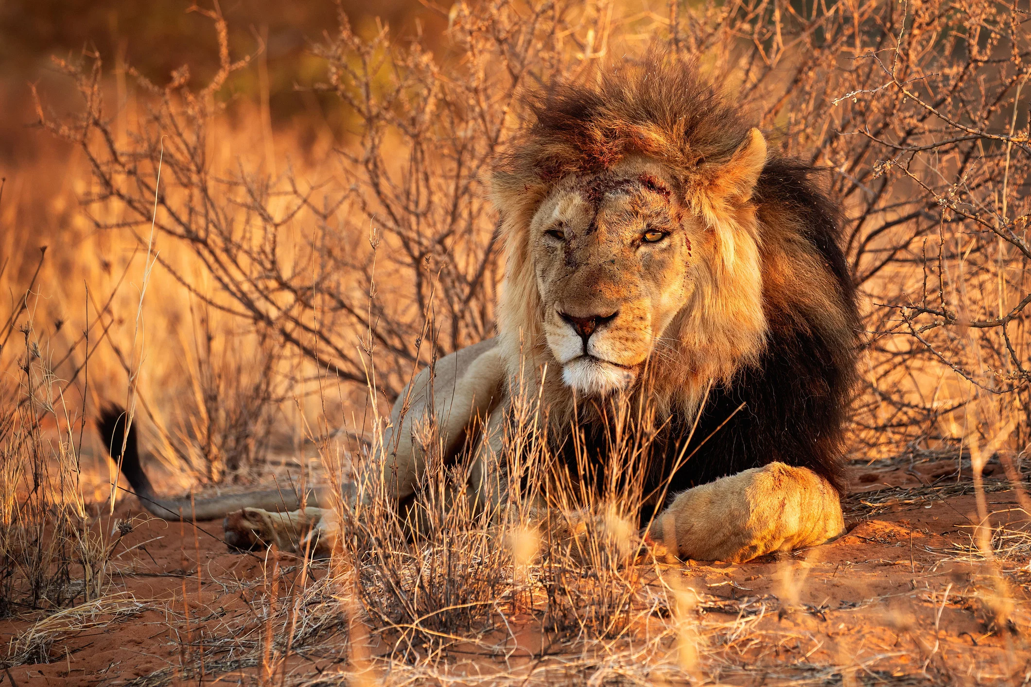 Namibia