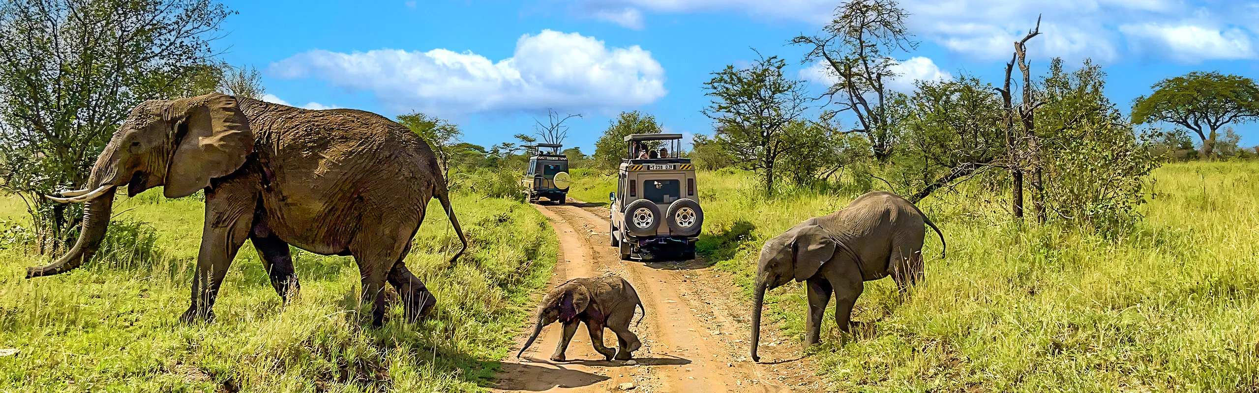 Tanzania