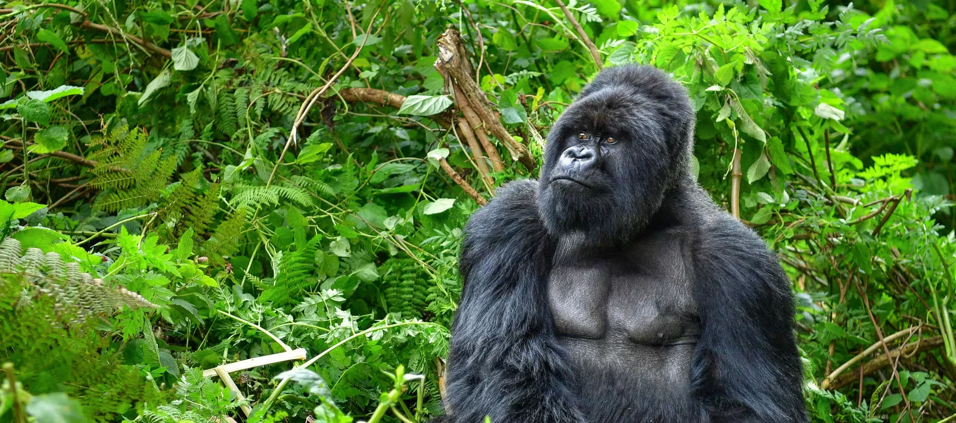 Rwanda